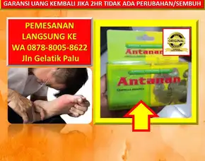 0878-8005-8622 Obat Asam Urat Untuk Ibu Menyusui Di Kota Palu