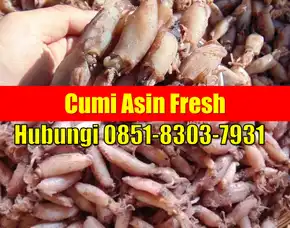 Fresh Segar, Jual Cumi Asin Baby Cumi Kabupaten Tojo Una-Una
