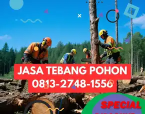 Jasa Tebang Pohon Depok