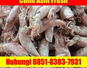 Fresh Segar, Jual Cumi Asin Baby Cumi Kabupaten Bangli