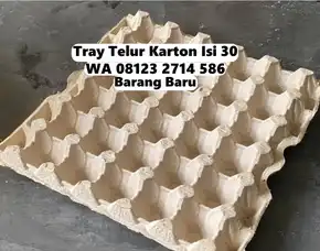 Pelindung Telur Kertas Karton Diskon Khusus Selemadeg Timur Tabanan Bali (122)