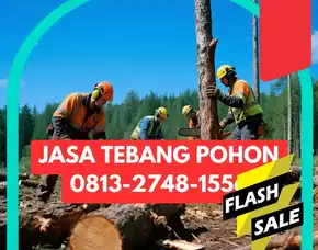 Jasa Tebang Pohon Lendah