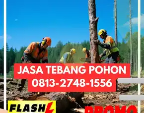 Jasa Tebang Pohon Galur