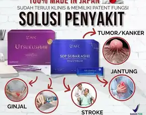 Sehat Totalo878-6675-6676, Distributor Nutrisi Kesehatan Jantung Dan Struk