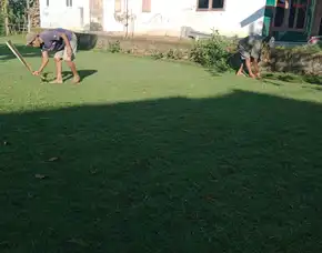 Jual Rumput Golf Trenggalek Termurah