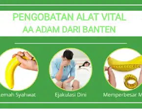 Pengobatan Terapi Vitalitas Pria Lampung Aa Adam Terbaik Wa 0856-6904-4498
