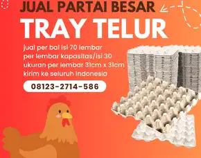 Pusat Tatakan Telur (Trey Telor) Kirim Ke Sape Bima Ntt (6)