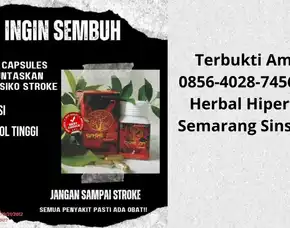 Terbukti 0856-4028-7456 Obat Herbal Hipertensi Semarang Sinshe Zin