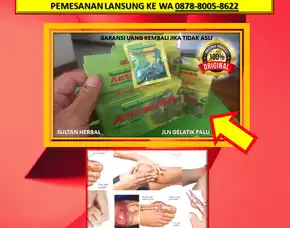 0878-8005-8622 Obat Asam Urat Kapsul Di Kota Palu