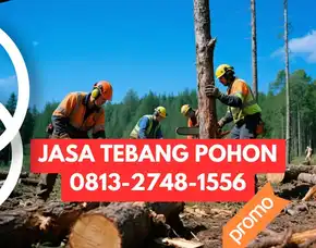 Jasa Tebang Pohon Pleret