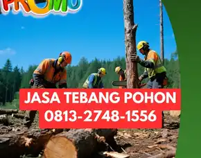 Jasa Tebang Pohon Banguntapan