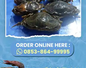 Fresh, Jual Daging Kepiting Kaleng Kabupaten Kota Baru Kelumpang Hulu
