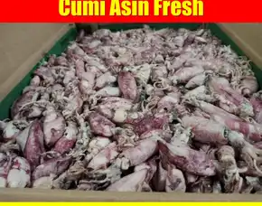 Fresh Segar, Jual Cumi Asin Baby Cumi Kabupaten Musi Rawas Utara
