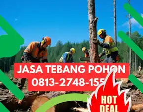 Jasa Tebang Pohon Kalibawang